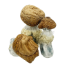 Order Puerto Rican Magic Mushrooms online