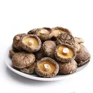 order magic mushrooms online